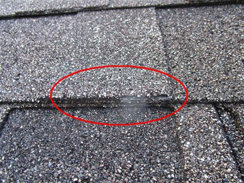 Mission City Home Inspections roof inspection photo 11